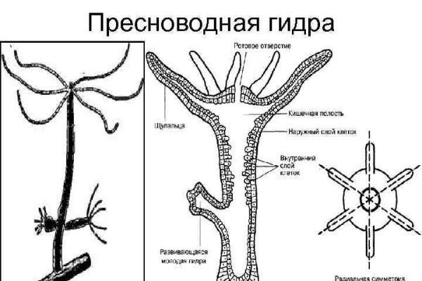 Кракен офф сайт