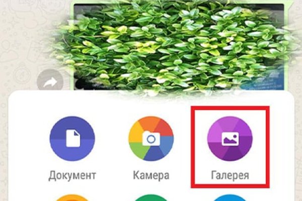 Kraken даркнет рынок ссылка