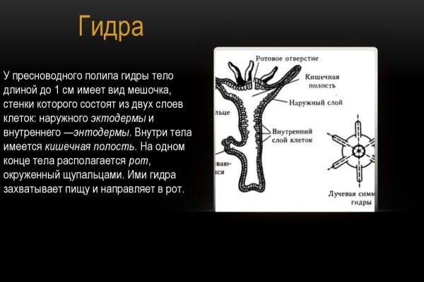 Прямая ссылка на кракен