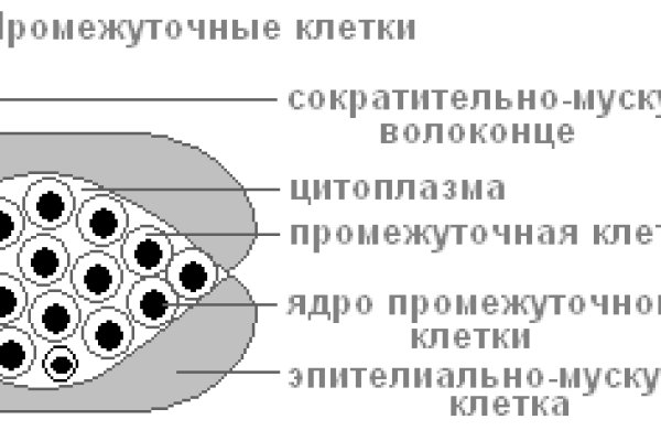 Кракен зеркало ссылка онлайн